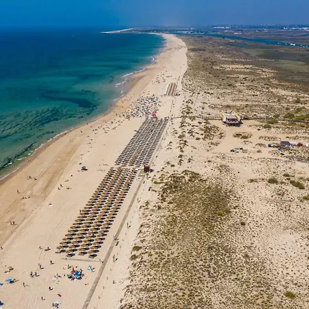 Gardens-t1 Ph Wpcg 55 *